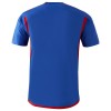 Maillot de Supporter Olympique Lyonnais Extérieur 2023-24 Pour Homme